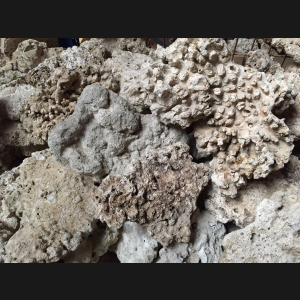 Roccia di corallo