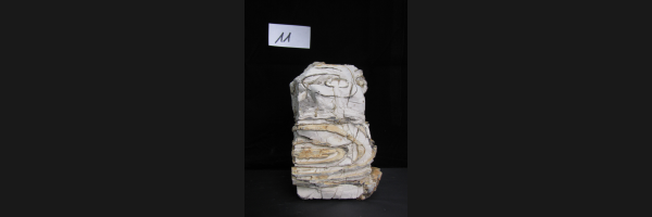 Sandwüstenstein