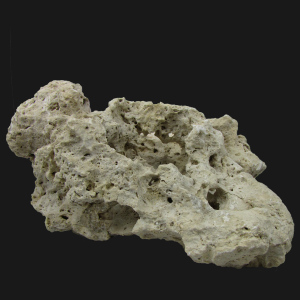Reef rock