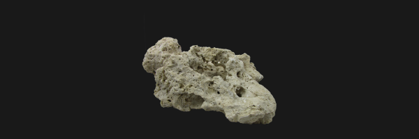 Reef rock