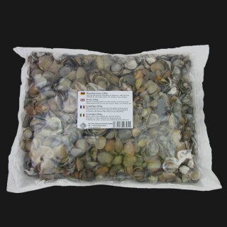 Muschelschalen 2500g