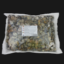 Conchiglia / Muschelschalen 2500g