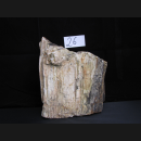 Fossiles versteinertes Holz Nr. 26