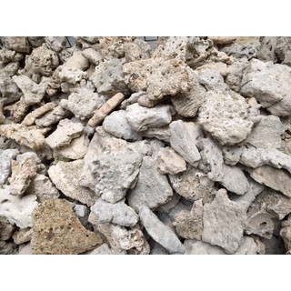 Placa rocas de coral muerto 10 - 20cm por kg