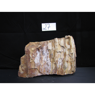 Fossiles versteinertes Holz Nr. 27