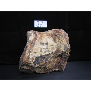 Fossiles versteinertes Holz Nr. 28