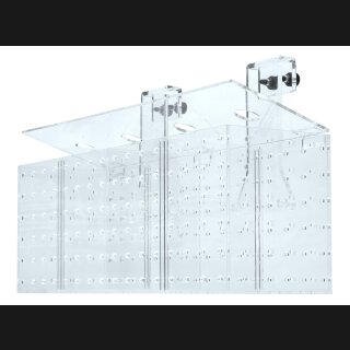 Akklimatisierungsbox 4-Kammern